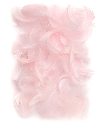 Netuno 150 Stück Flaum Federn Rosa 10 g Natur Schmuckfedern zum DIY Basteln Dekoration für Ostern Weihnachten Figuren Dekofigur Karneval | 10 g · Flauschige Dekofedern für DIY Basteln Dekoration von Partys, Traumfänger, Masken