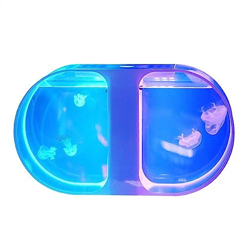 Aquarium Aquarium Bilaterales Quallenbecken Desktop-Aquarium Aquarium Kleines Quallenbecken Zierfischbecken Büroaquarium Heimdekoration Fischtank