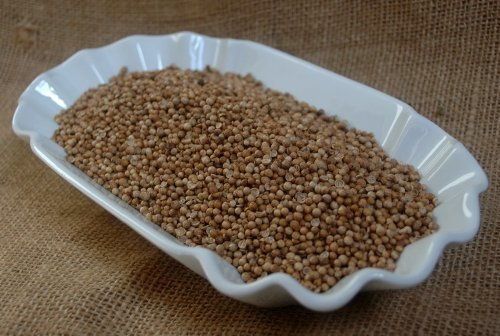 Naturix24