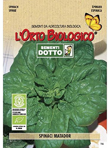 Idroponica Semi biologici di Spinacio Matador