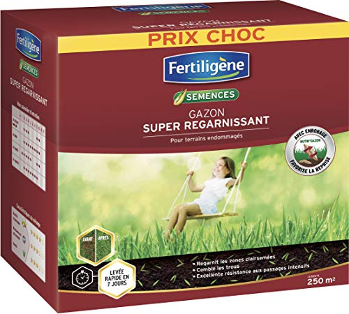 FERTILIGENE REGAR25PO - Semences Gazon Super Regarnissant 5 kg - Premières pousses en 1 semaine - Regarnit les zones abîmées et comble les trous - Excellence résistance aux piétinements - Pour 250 m²