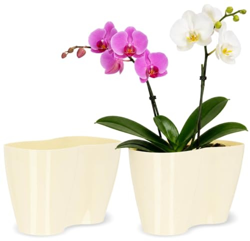 KADAX Blumentopf für Innen, Orchideen, Blumen, Pflanzen, Fensterbank, Übertopf, Orchideentopf, Pflanztopf aus Kunststoff, moderner Pflanzkübel, Blumenkübel, Blumenübertopf (23,5 x 12 cm, Creme)