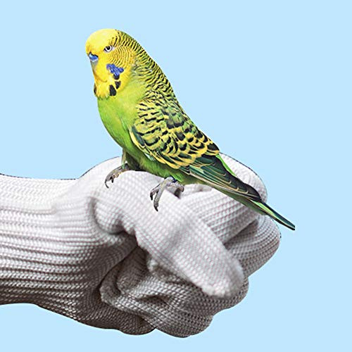 Gants De Fil, Gants Anti-morsure De Formation De Perroquet, Gants De Protection à Mâcher Pour Perroquet écureuils Hamster Hérisson (blanc)