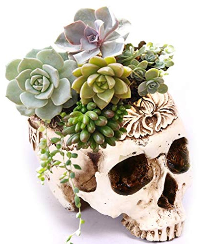 Creative Flower Pot Resin Skull Head Design Planter Decor For Home Office | Unique Skull Shape, Durable Resin Material, Ideal For Desk Or Home Decor, Stylish Planter Container