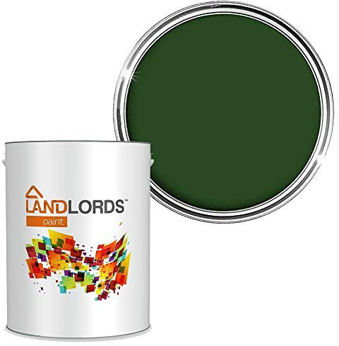 Landlords Anti Damp Paint | Matt Finish | Prevent Build-up of Mildew | Paint for Wall and Ceiling | Anti Condensation and Mould | 2.5L Winter Green