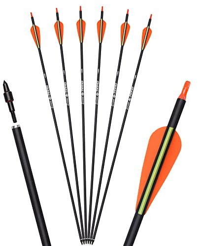ELONG OUTDOOR Flèches de Chasse en Carbone avec Pointes Amovibles de 100 Grains pour tir à l'arc composé et Classique et tir à l'arc Traditionnel (Lot de 6pcs)