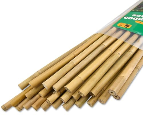 Jollybower 25pcs 1/2 D Thicker Heavy Duty Bamboo Stakes, 4FT Plant Stakes, Natural Garden Stakes for Tomato, Bean, Flowers,Trees Potted and Climbing Plant Support