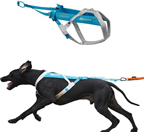 Non-Stop dogwear FREEMOTION Harness 5.0 |111| Blue/Grey | Hunde-Geschirr für alle Sportarten, Größe:7