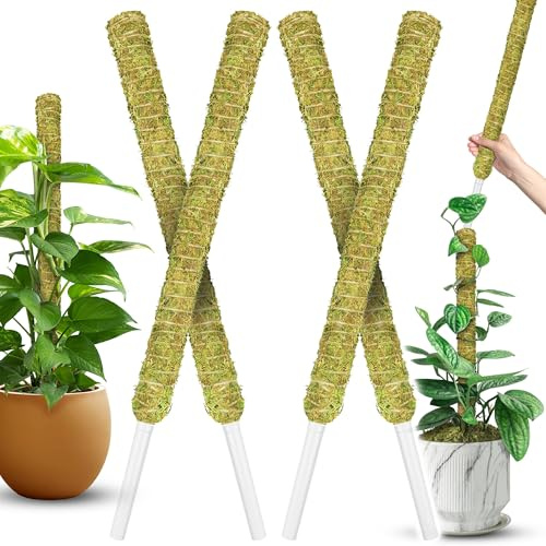 DUSPRO Naturlig stapelbar mossstång för växter Monstera krukväxtpinnar för inomhusväxter utdragbar växtstång mosspinnar för växter klättring vinstockar stöder Monstera spaljé 4 st 56 cm
