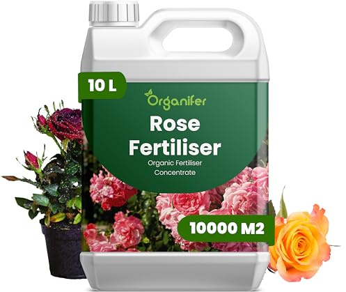 Fertilizzante Liquido Per Rose 10L – Concime Organico Per Fioritura Abbondante E Fogliame Sano – Rafforza Radici E Vitalità – Organifer