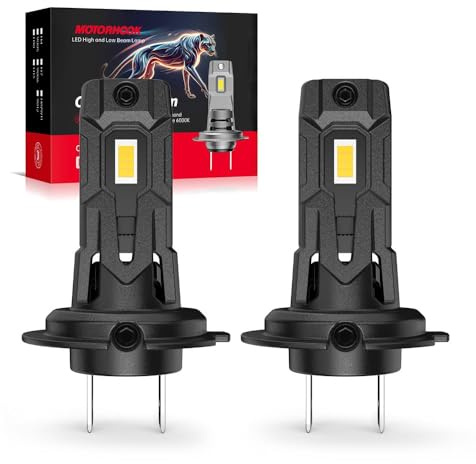 LUDUN H7 Halogen lampen Auto 12V 55W, Superhelle 6000K Weiß H7 Scheinwerferlampen Ersatzbirnen für Abblend- & Fernlicht, Canbus Fehlerfrei Plug & Play, Perfekt für Autobahn & Nachtfahrten, 2er Set