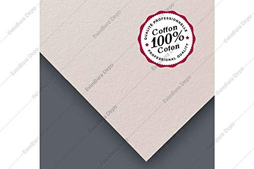 Clairefontaine 96371C Packung (mit 10 Bögen Aquarellpapier Fontaine, feinkörnig, 100% Hadern, 640g, hohe Reißfestigkeit, für Künstler, mit hohen Ansprüchen, ideal für Nasstechniken, 56 x 76 cm) weiß