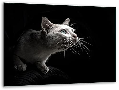 TMK ArtDeko – Schneidebrett Glas – Glasschneidebrett für die Küche 40x30 cm – Robust, Hygienisch & Rutschfest – Glas Schneidebrett – Zusätzliche Arbeitsfläche – Vielseitige Nutzung