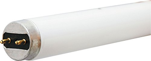 Ge Con. Fluor Bulb Kitchen And Bath 4 Ft. T8 Med Bi Pin G13 32 W 2600 Lumens 3000 K 78 Cri Slv 2 Pac