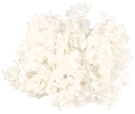 PRETYZOOM Kit Di Petali Di Fiori 20 G Di Petali Di Ortensia Secchi Per Decorazioni Per La Casa Feste E Creazioni Di Nail Art