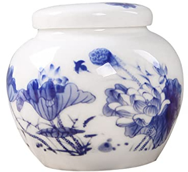 Amosfun Contenitore Sigillato in Porcellana Bianca E Ceramica Porta Tè Multiuso Per Alimenti Secchi Snack Erbe Aromatiche Contenitori Decorativi Per La Casa