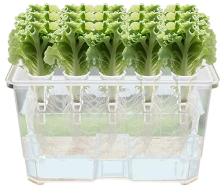 , Germinazione 15 Pod Piantagione per Germogli - Idroponico Interno, Dispone di Un Indicatore del Livello Acqua per Il Monitoraggio in Reale, Che Trasporta Giardino