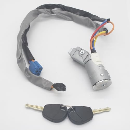 Interruttore di accensione con Blocco di avviamento per Peugeot, Expert, Citroen, Berlingo (2002-2008) 4162.CF