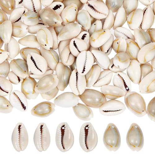 GOMAKERER 250 Stück Natürliche Kauri-Muschelperlen, Kauri-Spiral-Muschelperlen Loch 2mm Muschel-Schmuckstück Aquarium Ornamente Sommer Strand Kleine Muscheln Für Schmuck, DIY-Handwerk