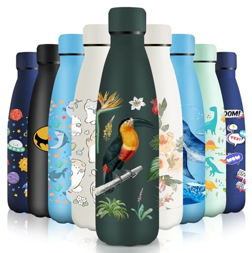 HoneyHolly Gourde Isotherme, Acier Inoxydable 18/8, Bouteille Isotherme, 500ML Sans BPA, Gourde Inox Enfant, Étanche Double Isolation, Bouteille Inox pour Le Camping, Les Écoles, Les Gymnases
