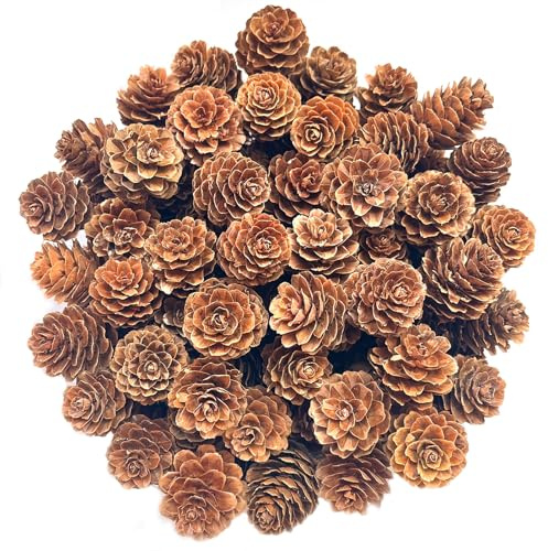 Christmas Natural Pine Cones, KY-Tech 100pcs Christmas Pinecones 2-3cm Mini Pine Cones for Craft DIY Rustic Pinecones for Wreaths & Garlands Xmas Decorations Xmas Party Ornament (2-3cm)