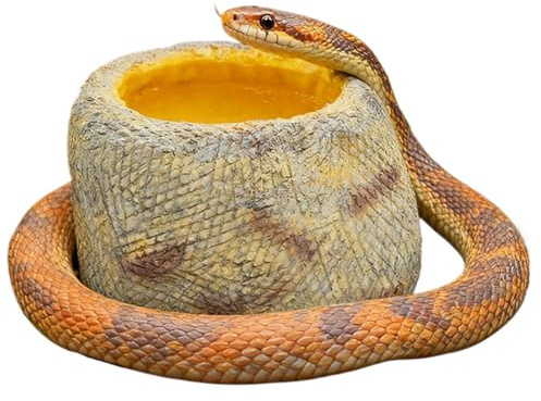 Bassin pour Reptile Accessoires pour Animaux en Résine Réaliste Pierre | Gamelle Gecko Reptile Fontaine à Eau pour Grenouille Araignée Hermite Baignade Abreuvement Maison Terrain Terrarium