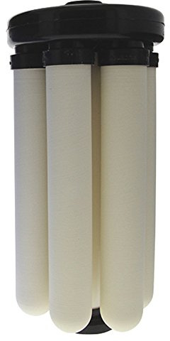 Doulton Rio 2000 Modul inkl. 6 x Bespoke Doulton Sterasyl Keramik Trinkwasser Kerze Filter ¦ 20,3 cm ¦ für hohe Durchflussmenge Big blau Gehäuse ¦ w9381000