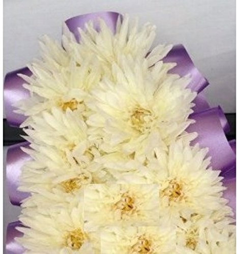 floral supplies Bag of 144 Chrysanthemum Tribute Flowers - Realistic Flowers for Fresh-Looking Funeral Tributes & Lettering (Cream)