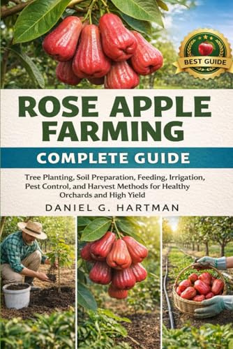 Rose Apple Farming Complete Guide: Tree Planting, Soil Preparation, Feeding, Irrigation, Pest Control, and Harvest Methods for Healthy Orchards and High Yield