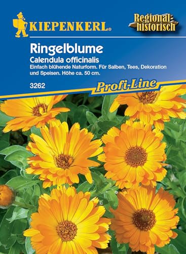 Ringelblumen Heilkraut Calendula officinalis für Tee- und Salbenzubereitung