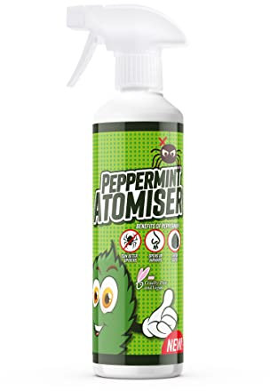 McKLords FAM0551 Peppermint Atomiser-Spider Repellent/Deterrent Spray-Natural and Eco Friendly Pest Control 500ml, Clear