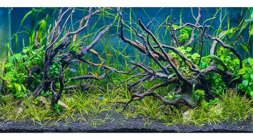 MIRRORANG 180x61cm Tropisches Aquarium Hintergrund Flussbett & See Wasserpflanze Unterwasser Baumzweig Aquarium Hintergrund Vinyl