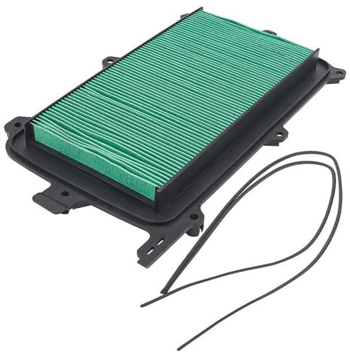 OOELAZ Detergente per Filtro Aria Motociclette per Talon 1000R Fox Live Valve 1000X-4 Special Edition 1000 R X 17215-HL6-A00