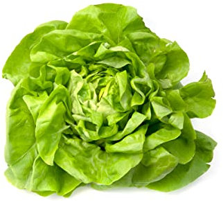 1000 Samen Kopfsalat Karganer Sommer 2 Grüner Garten Sommer Salat Salatsamen Rohkost