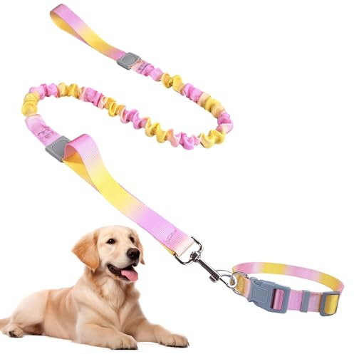 Dog Collars and Bungees Leash Set,Adjustable Collars,Bungee Dogs Leads, Elastic Shock Absorbing No Pull Dog Leash,with Heavy Duty Metal Buckle,for Small, Medium and Large Dogs