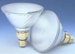 GE Floodlight Halogen 120 2 Bulb PacK