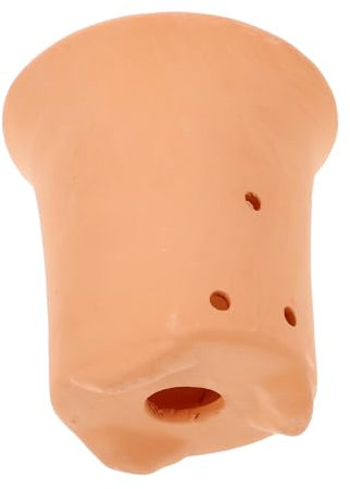 Happyyami Maceta De Barro Ahuecada para Suculentas y Cactus Maceta Pequeña Ventilada para Interior De Cerámica Alta Estilo Orquídea Drenaje Adecuado para Decoración y Cultivo Doméstico