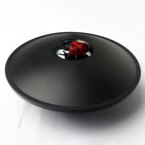 Projecteur hologramme 3D engageant pour les enfants qui favorisent l'apprentissage pratique de manière amusante (coccinelle)