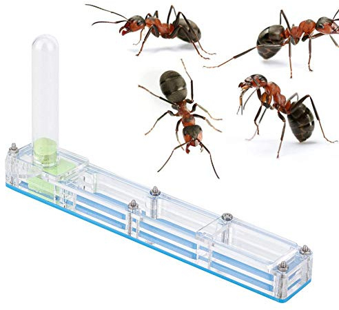 Ameisennest, Ameisenfarm Burg, natürliche Insekten-Ökologiebox, Formicarium, Schaukasten mit Wasserturm, feuchtigkeitsspendend, blau, Kompakt