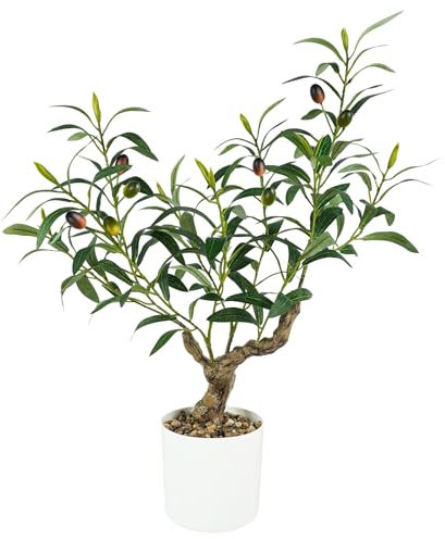 Caxchiling Olivo artificial de 2 pies, olivo para interiores con maceta blanca, plantas de seda sintética en maceta, decoración de oficina en casa, plantas de mesa, olivo pequeño con tronco de madera