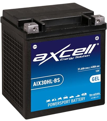 AXCELL Batterie 12V YTX30HL-BS HD-Pole GEL passend für Harley-Davidson FLHRC 1584 Road King Classic 2007-2008