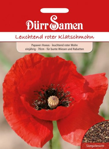 Dürr-Samen - Mohn leuchtend rot einjährig 70 cm Saatgut