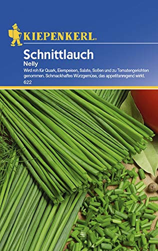 Schnittlauch Nelly | Schnittlauchsamen von Kiepenkerl