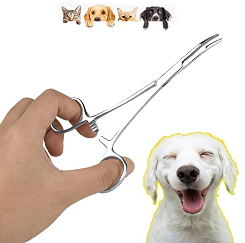Enlever Les Poils d'oreille Accessoires de Tondeuse pour Chien de Compagnie Pince à épiler, Pince à épiler Les Oreilles, Pince de Nettoyage à Pointe incurvée Ciseaux de toilettage(Big)