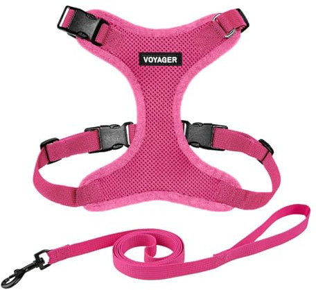 Voyager Step-in Lock Katzengeschirr und reflektierende Katzenleine mit Neoprengriff by Best Pet Supplies - Unterstützt kleine, mittelgroße und große Katzenrassen, Fuchsia, size S - 1,5 m