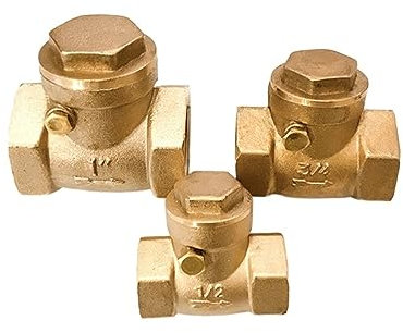 ZBORAVPIX Clapet Anti-Retour unidirectionnel Horizontal à FI Clapet Anti-Retour unidirectionnel Horizontal en Laiton à Filetage Femelle de 0,5 à 4 Pouces(2.5 inch)