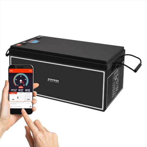 Syntrox 200Ah + Display Lithium LiFePO4 Wohnmobil 24V Batterie, Externes Display, 2000 Zyklen Lebensdauer, Kunststoff- und Edelstahlgehäuse
