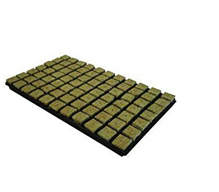 Hydroponics Cutting Cubes Tray 77 or 150 Rockwool Cultilene Propagation 25/35mm (77 cube Tray - 35mm)