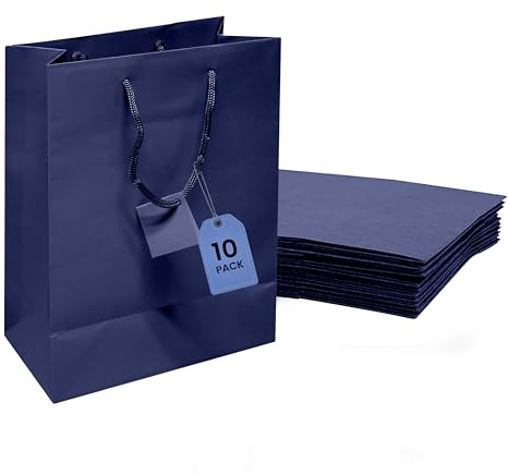 Novel Box blaue Geschenktüten mit Griffen, 10 Stück, 12,9 x 8,2 x 17,5 cm, kleine Papiertüten für Geschäft, Shopping, Geburtstag, Partyzubehör, Euro-Tragetasche, Papiertüte für Lebensmittel und