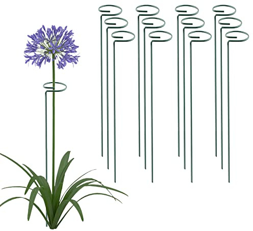 Thealyn 12 Pack 16 Inch Plant Support Stakes, Metal Single stemmed Flower Support Hoops，Garden Plant Stakes Plant Prop for Amaryllis Orchid Lily Rose Peony Tomatoes Gladiolus